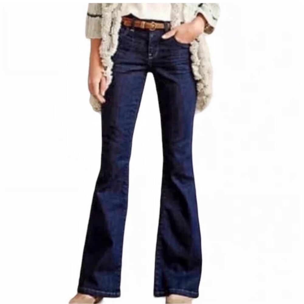 Pilcro and the Letterpress Superscript Low Rise Flare Jeans | Size 27